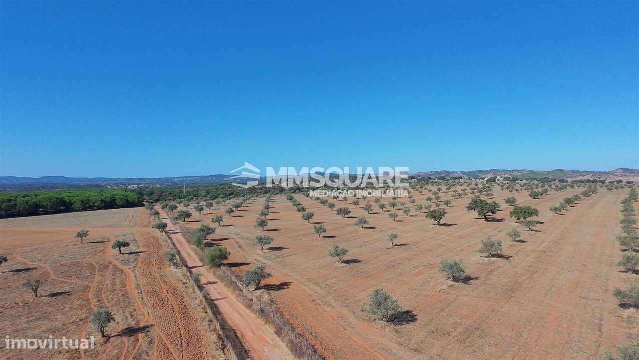 Herdade  Venda em Garvão e Santa Luzia,Ourique-11