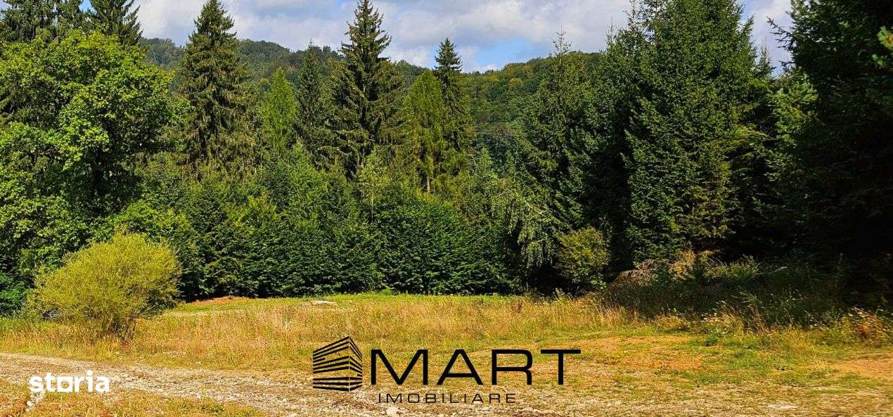 Teren 550 mp Dambul Morii - Imagine principală: 2/4