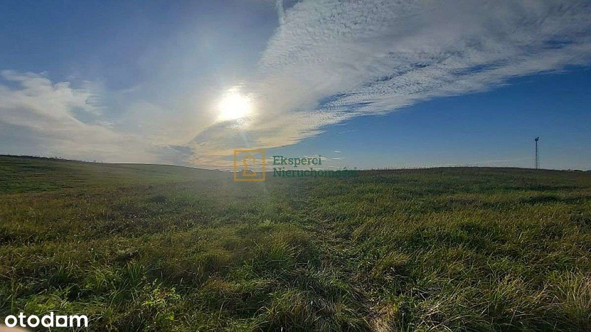 Działka nad jeziorem Wulpińskim 34,3 ar, Unieszewo - Pełny obrazek: 5/6