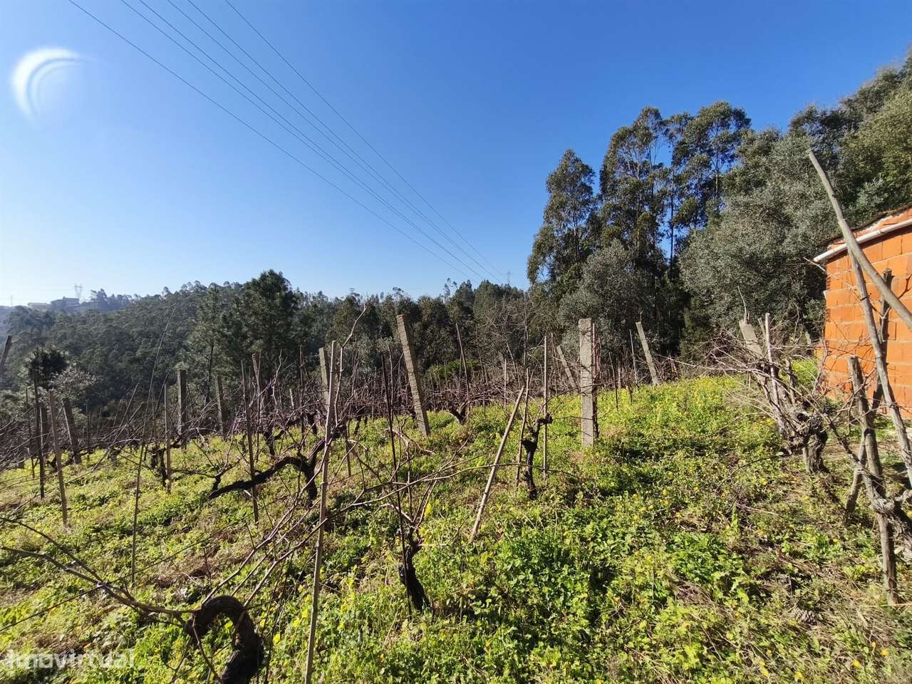 Terreno -  Dianteiro - Cova do Ouro - Grande imagem: 4/7