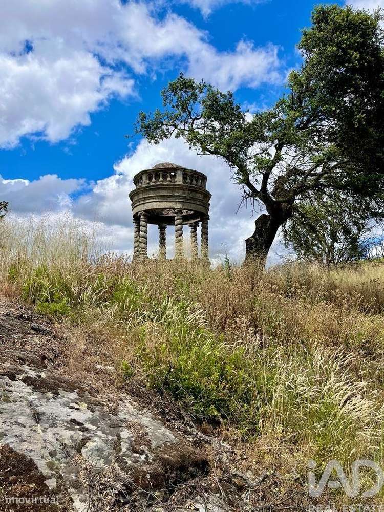Terreno Agrícola em Azinhoso de 2874,00 m2 - Grande imagem: 5/6