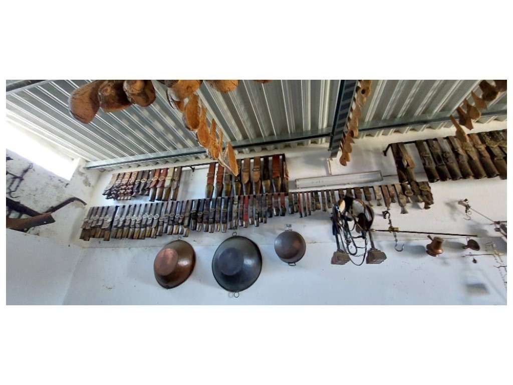 HERDADE 92 ha l Colos-33