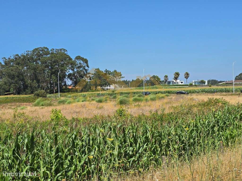 Excelente Oportunidade de Investimento: Terreno para Construção em ...-7