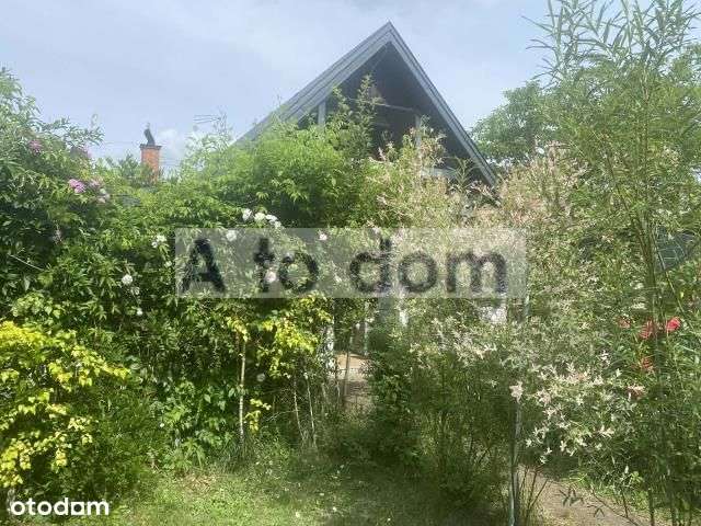 Rekreacja,10 Km Od Minska Mazowieckiego W Lesie-6