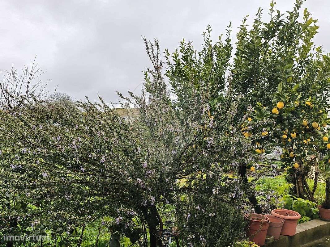 Quinta T3 para venda - Grande imagem: 5/6