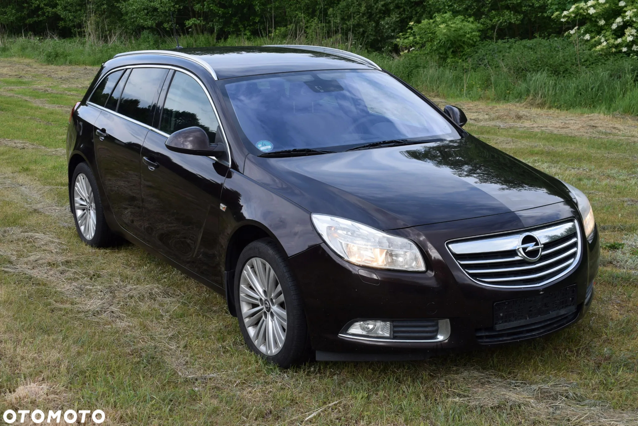 Opel Insignia 2.0 CDTI ecoFLEX Sport - 5