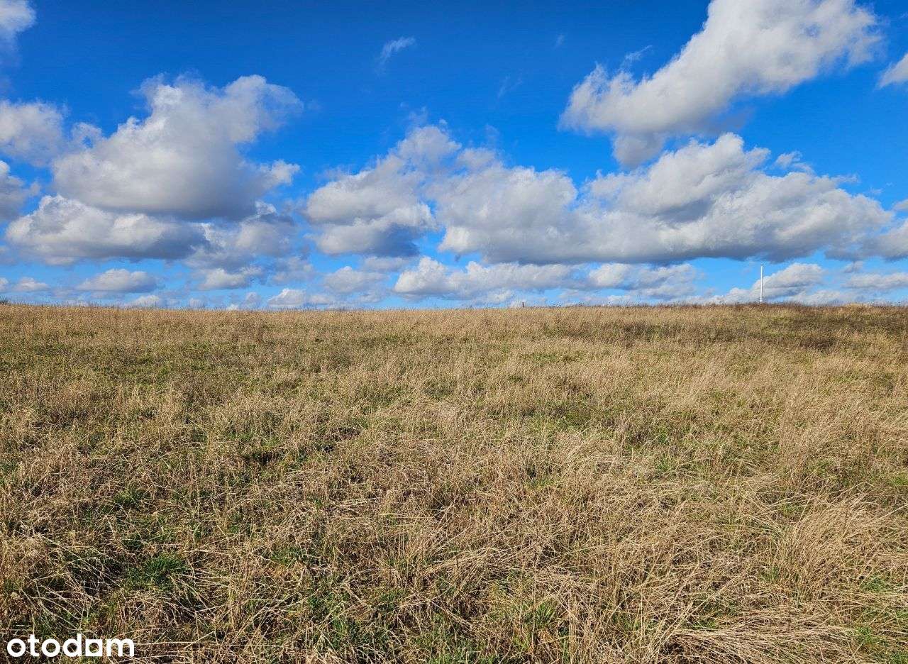 Działka budowlana Murowana Goślina 894m2 z MPZP - Pełny obrazek: 4/11