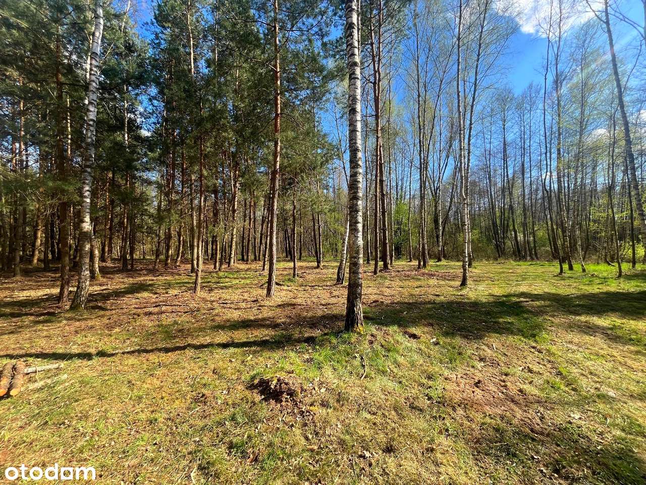Duranów - działka budowlana pośród lasów-5