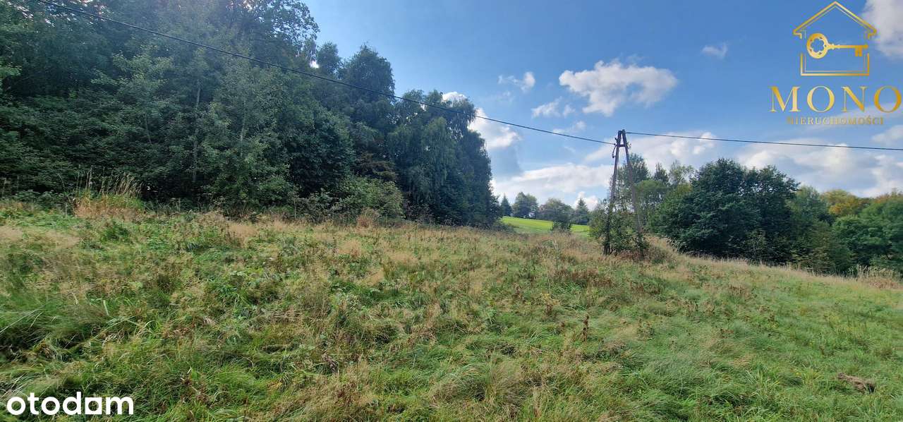 Atrakcyjna oferta działka ok. 50 ar pod lasem!!-9