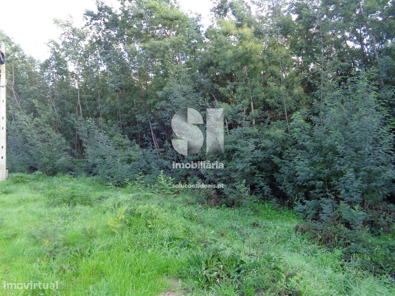 Terreno c/ viabilidade construção - Grande imagem: 4/27