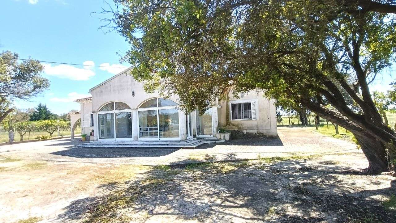 Quinta Pegões Velhos, junto á adega, com moradia e armazém lote 3,8 ha-37