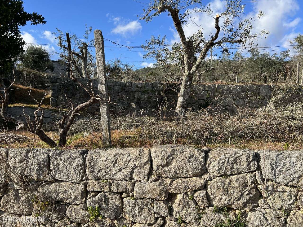 Quinta com arrecadação - Grande imagem: 4/12