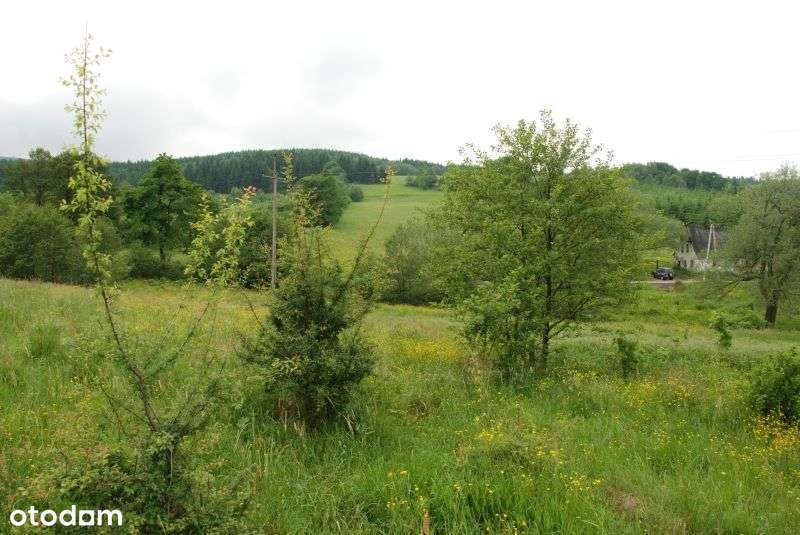 Atracyjna działka - Góry Sowie - Glinno-1