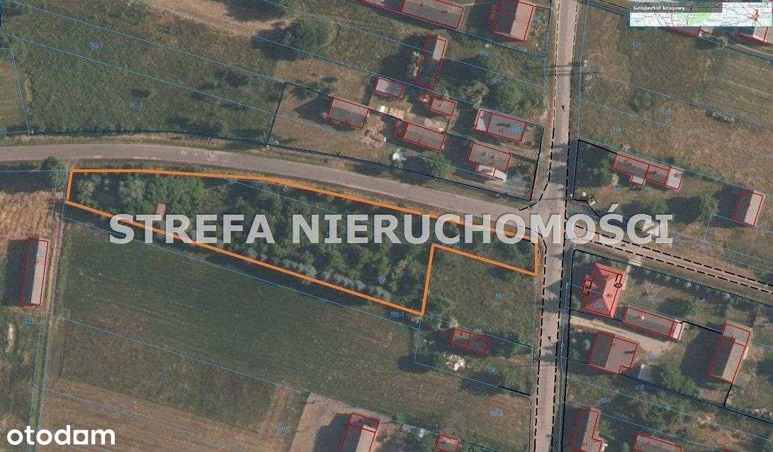 Działka W Olszowcu Gmina Sławno ! - Pełny obrazek: 5/5