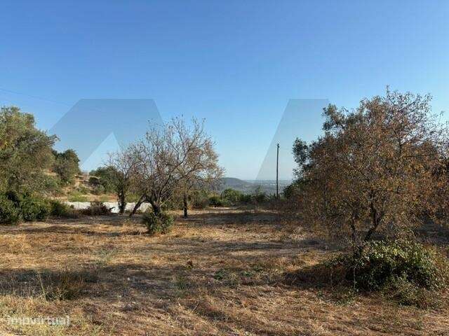 Encantador Terreno Rústico com Vista Mar - Grande imagem: 5/9