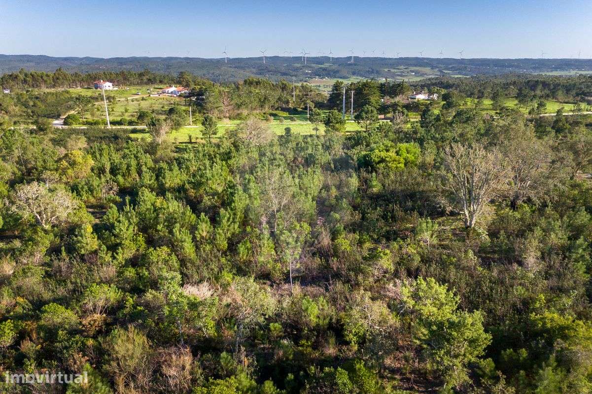 Moradia T3 para venda - Grande imagem: 4/29