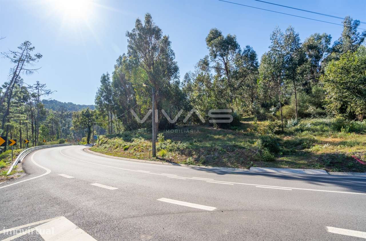 Terreno Rústico  Venda em Pico,Vila Verde - Grande imagem: 3/21