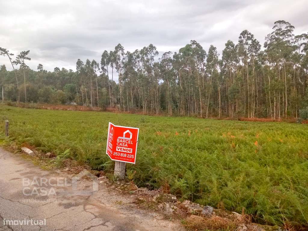 Terreno de construção em Igreja Nova - Barcelos - Grande imagem: 4/9