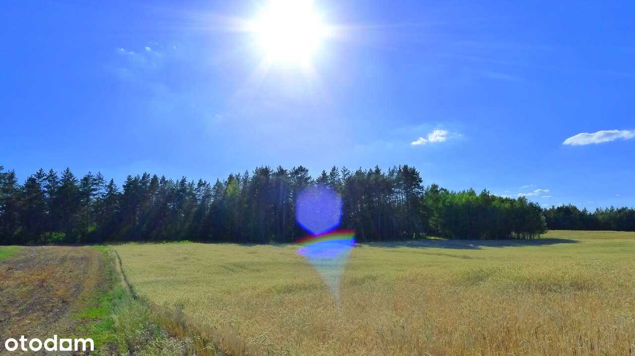 Bakałarzewo - działki pod budowę koło jeziora - Pełny obrazek: 4/18