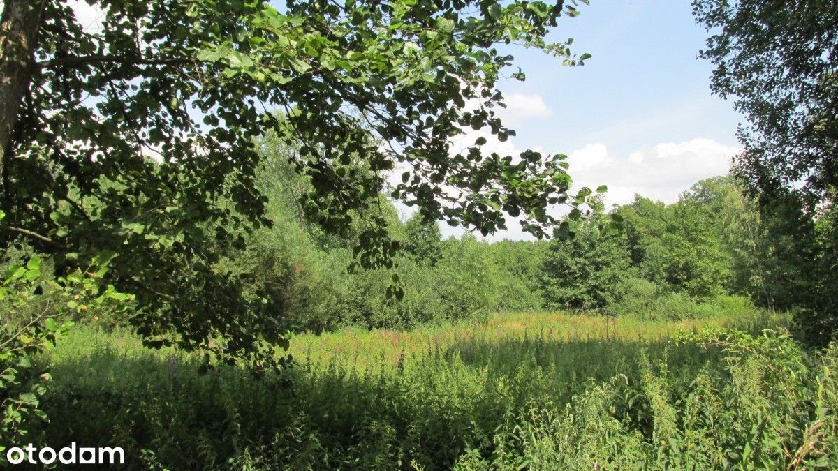 Działka 7700 m2, warunki zabudowy cena 348 tyś zł