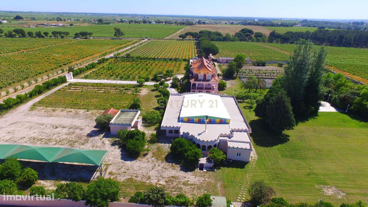 Herdade no Poceirão com 101 ha - Palmela - Grande imagem: 5/60