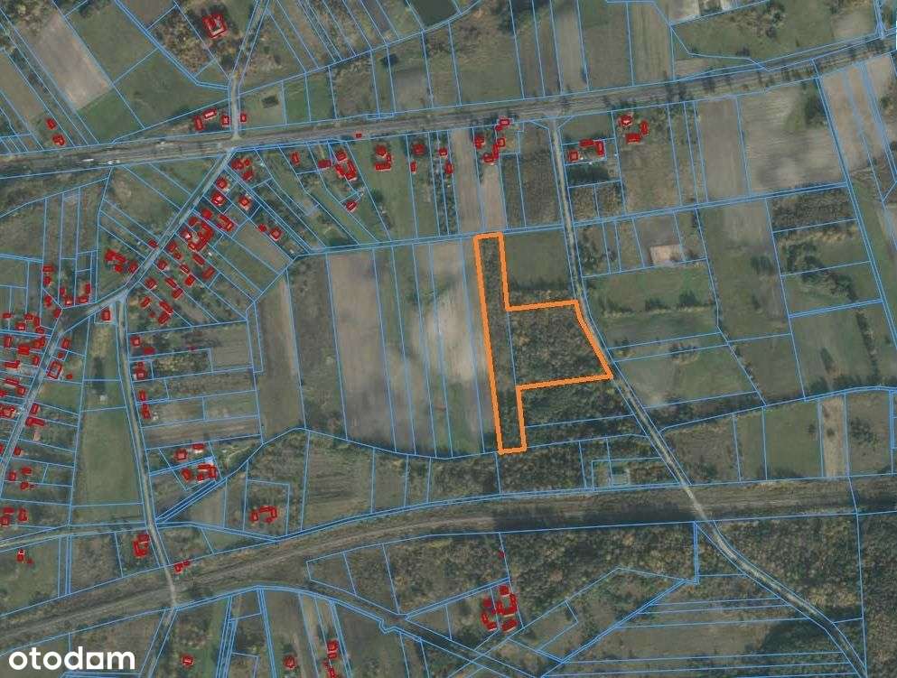 Niższa Cena - Pełny obrazek: 5/5