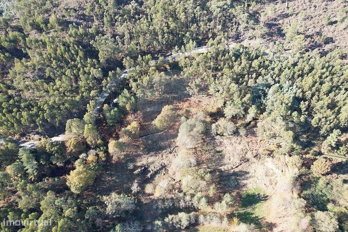 Terreno  para venda - Grande imagem: 4/12