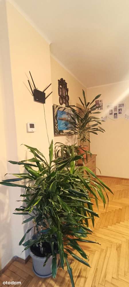 Dom, 110.0 m², Rybnik-9