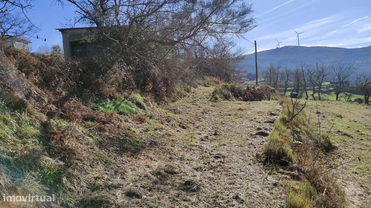 Terreno Rústico  Venda em Gouveia (São Simão),Amarante-6