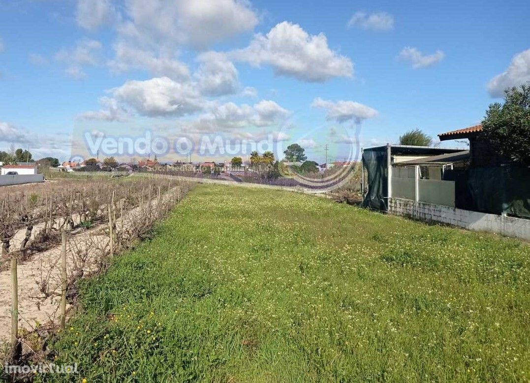 Terreno Agrícola em Marinhais (M628)