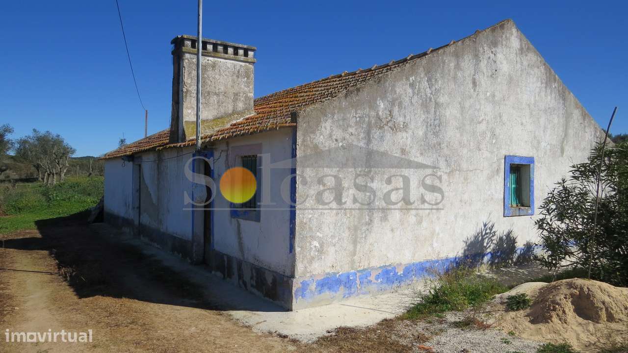 Quinta com duas habitações em Sta. Catarina - Alcácer do Sal-9