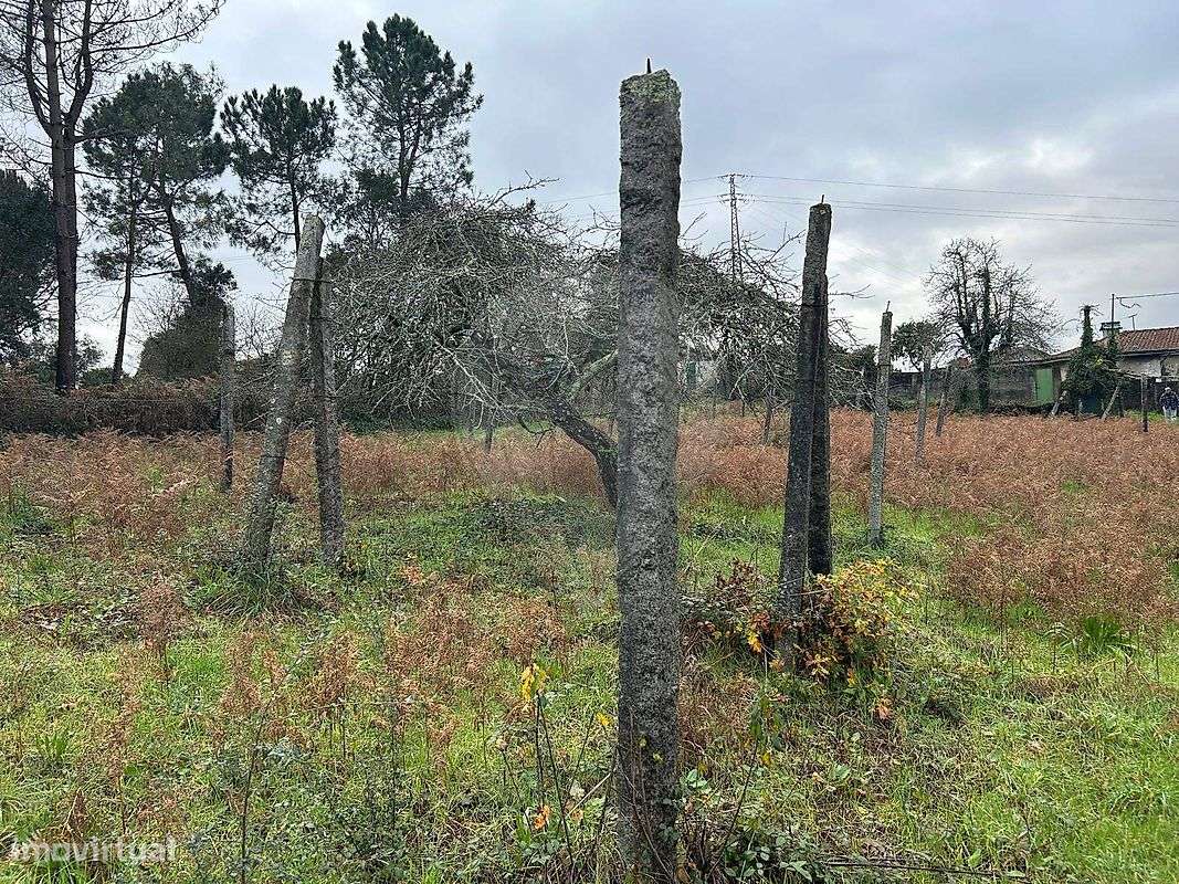 Terreno  para venda - Grande imagem: 3/35