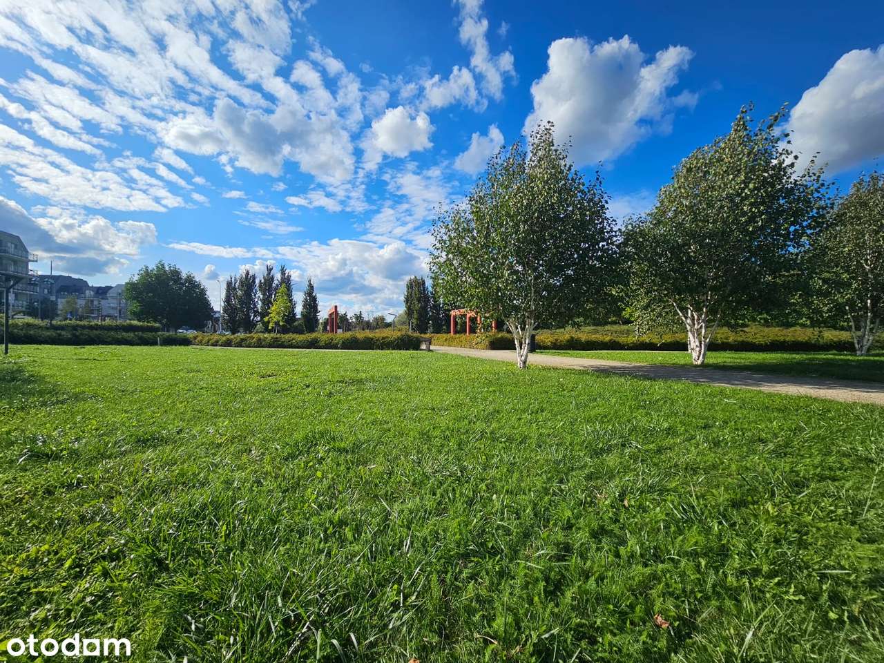 Jasne 2 pokoje przy parku – balkon, komórka opcjonalnie miejsce w hali-11