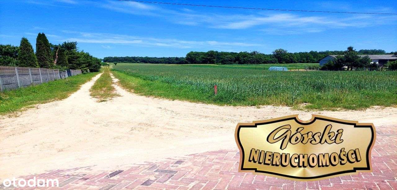 działka budowlana blisko lasu,Topola, gmina Izbica - Pełny obrazek: 1/16