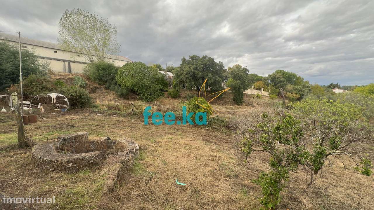 Quintinha-39