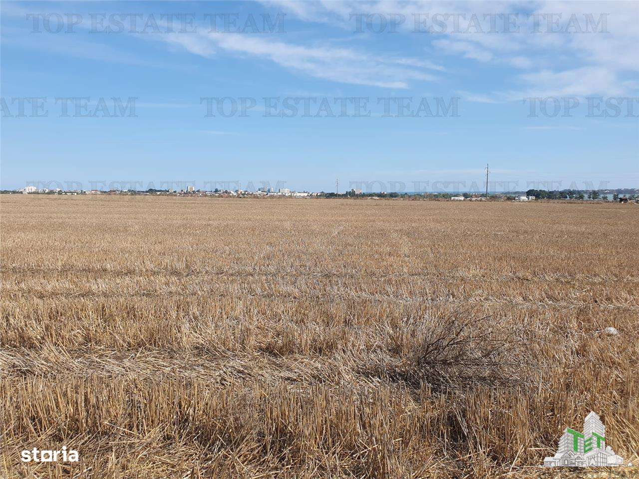 Teren Techirghiol - Imagine principală: 4/8