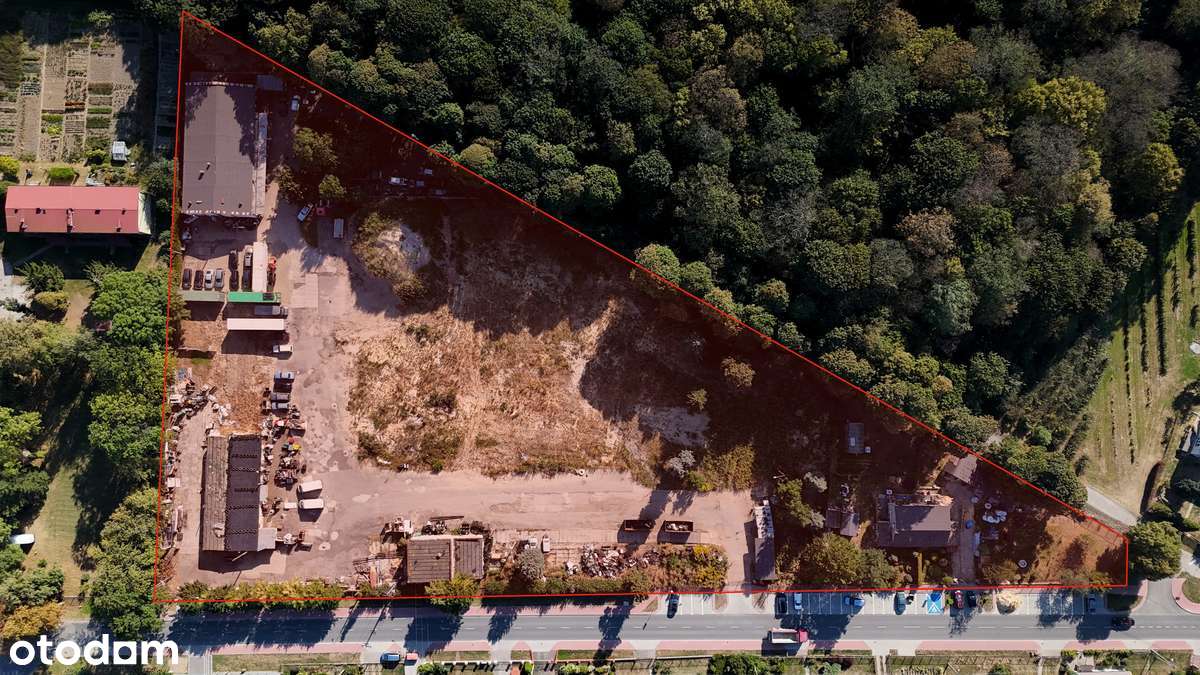 Działka inwestycyjna przemysłowa - Kurów, Olesin - Pełny obrazek: 4/9