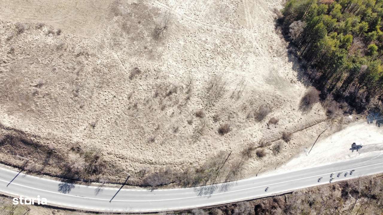 Teren 10000 mp Sanduleni-7