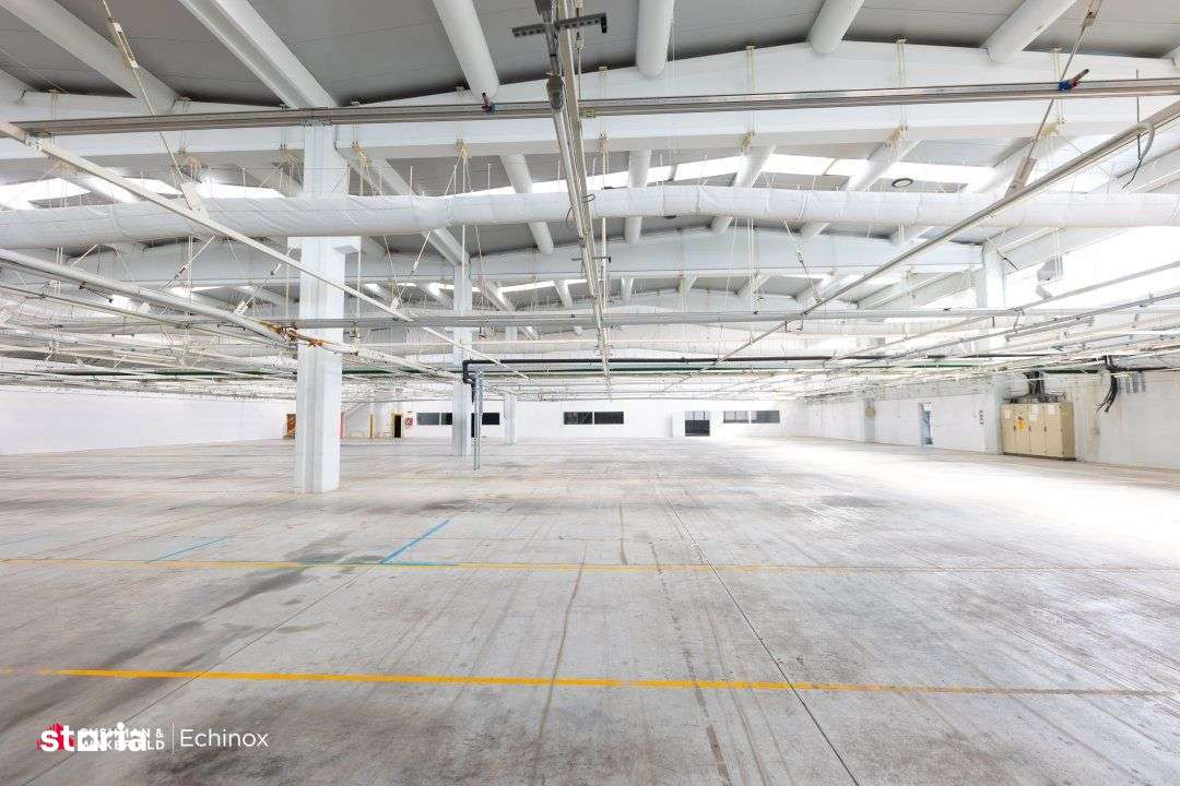 Timișoara - Depozit și birouri de vânzare-9