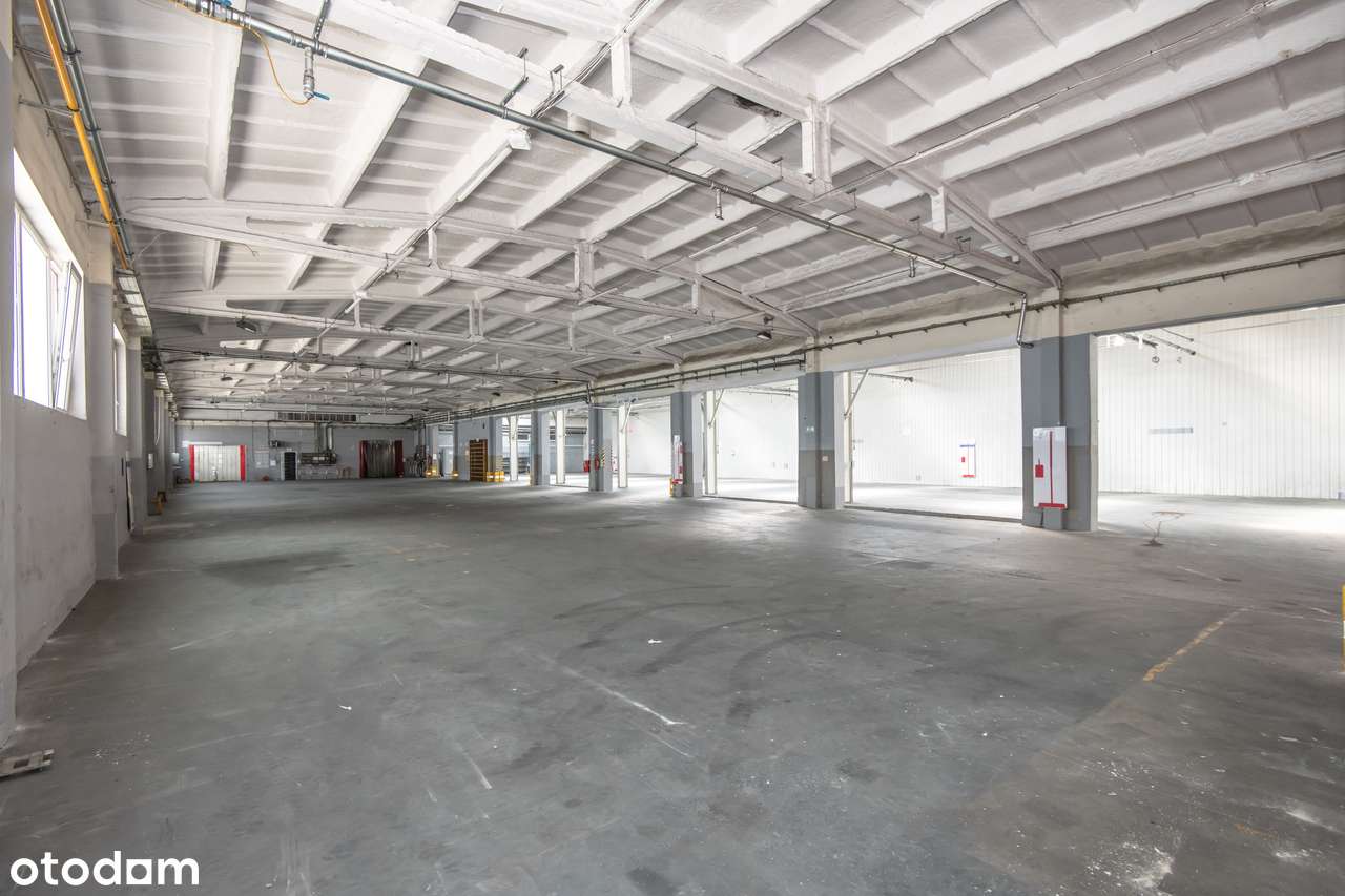 Nieruchomość na sprzedaż w Środzie Wielkopolskiej.-7