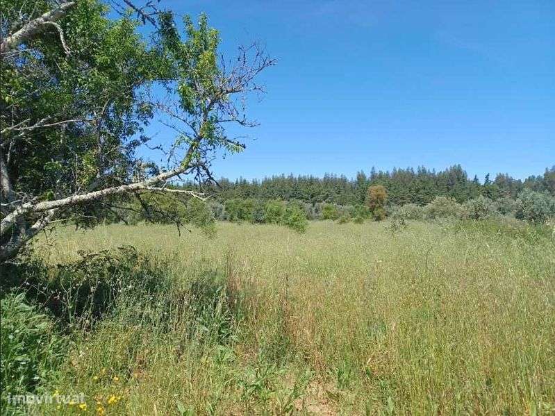 Terreno para construção: 1,2 ha Rego da Murta - Ferreira do Zêzere - Grande imagem: 5/7