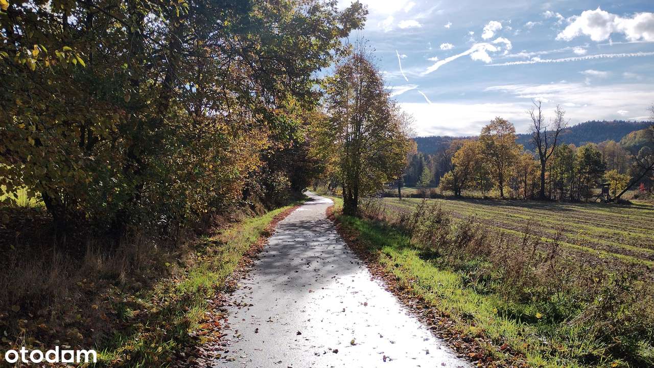 Działka budowlano-rolna w Czasławiu 27 ar - Pełny obrazek: 5/7