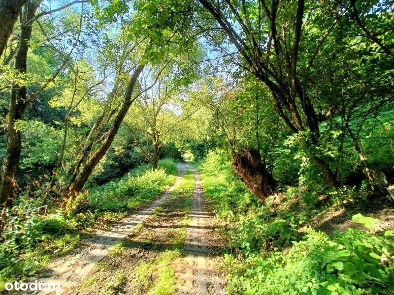 Os. Kozińce | duży, cz. budowlany | widokowy teren-3