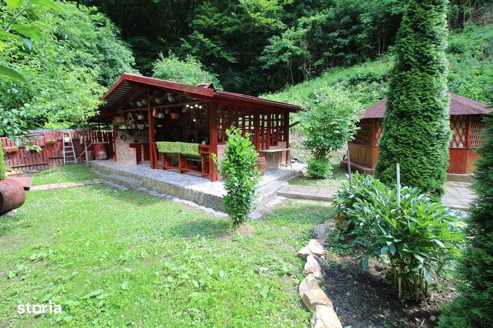 Vând gospodărie cu casă P+M în Govăjdia, la 16km de Hunedoara - Imagine principală: 3/20