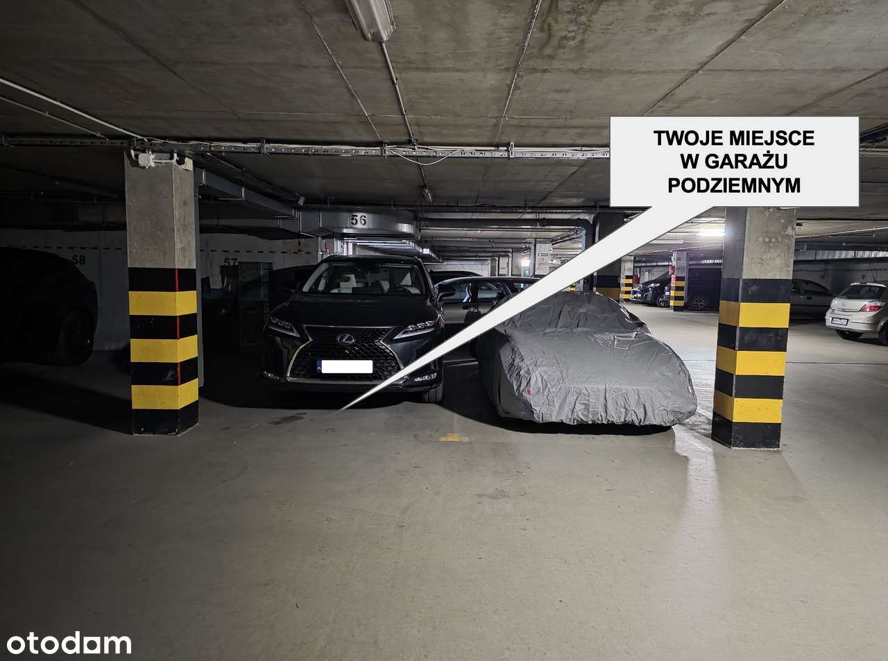 82m2 / 3-pokojowe / AC / Garaż / Piwnica / Metro 50m / Park-17