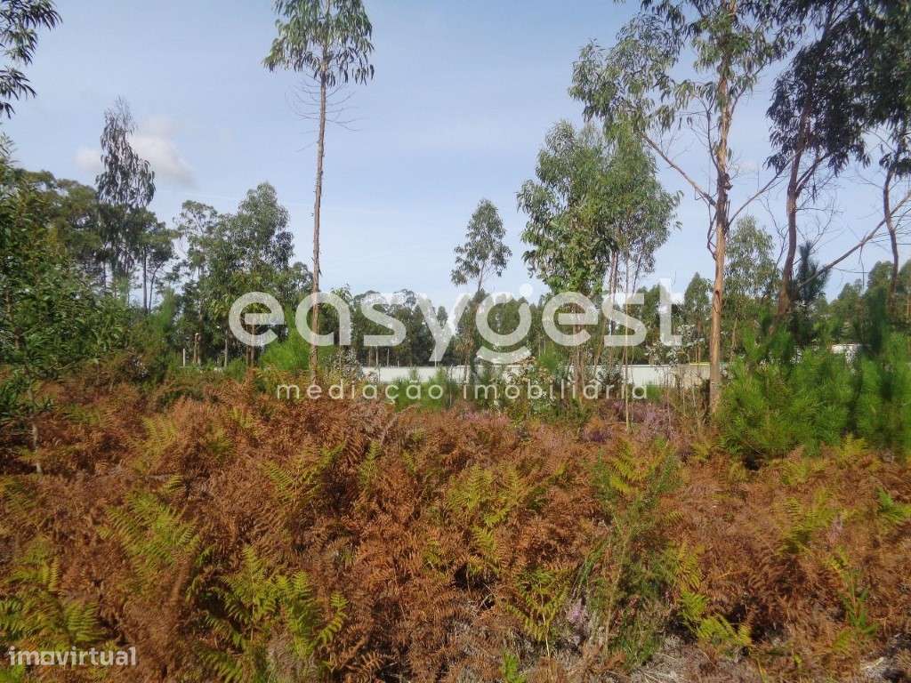 Terreno p/ Construção de Armazém ou Moradias - A29 Maceda/Arada - Grande imagem: 3/9