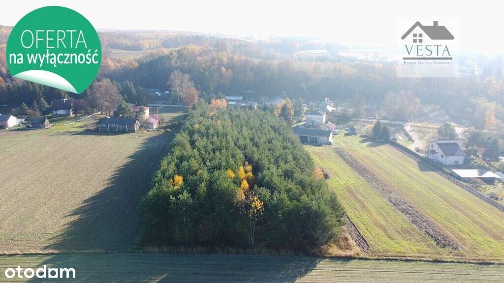 Dom drewniany w malowniczej okolicy, Rogalów-5