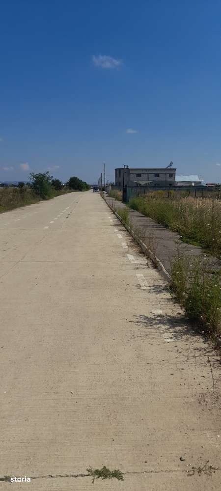 Teren in Ulmi - Imagine principală: 4/8