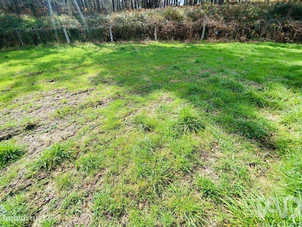 Terreno em Sapardos de 1460,00 m2 - Grande imagem: 5/10