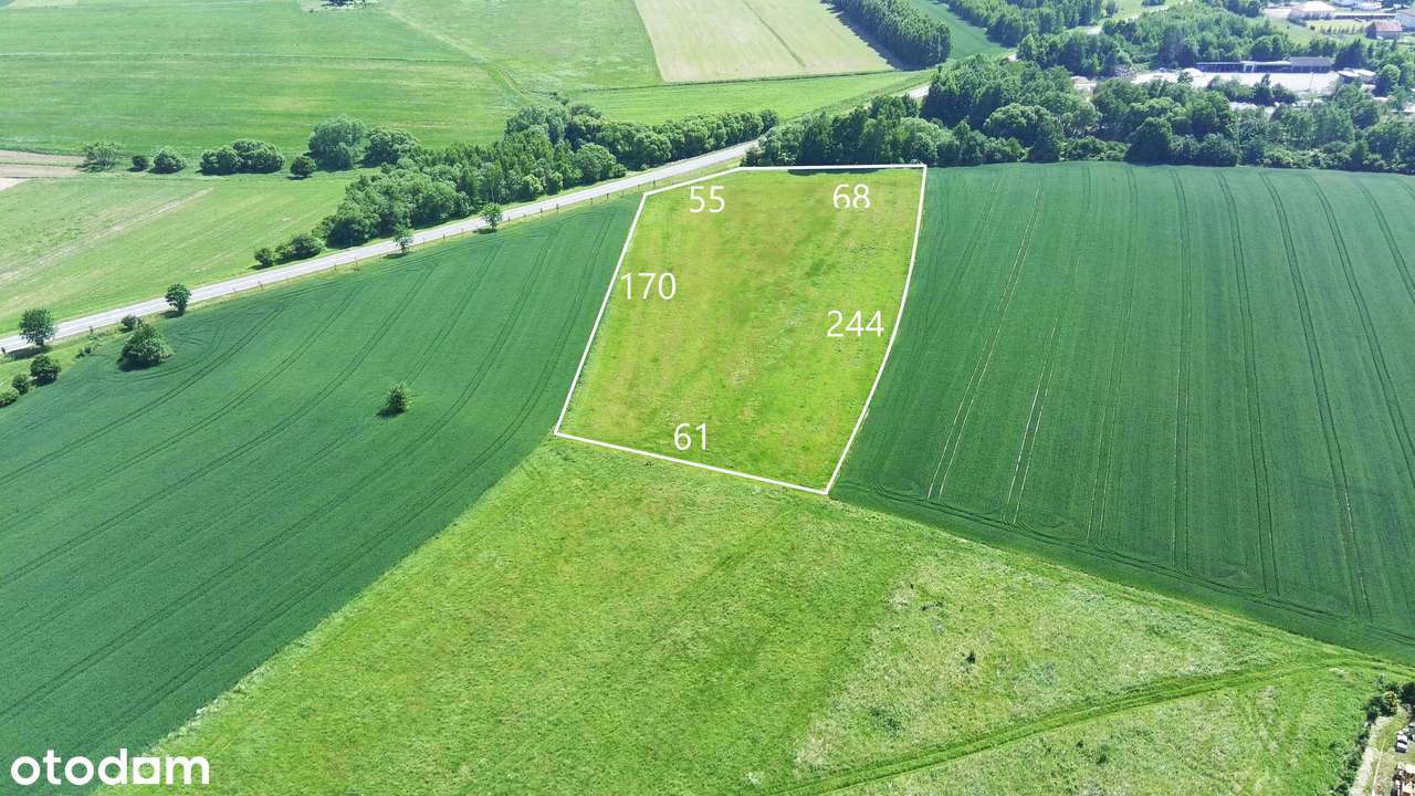 Na Sprzedaż Grunt Pod Produkcję i Usługi przy DK 33-6